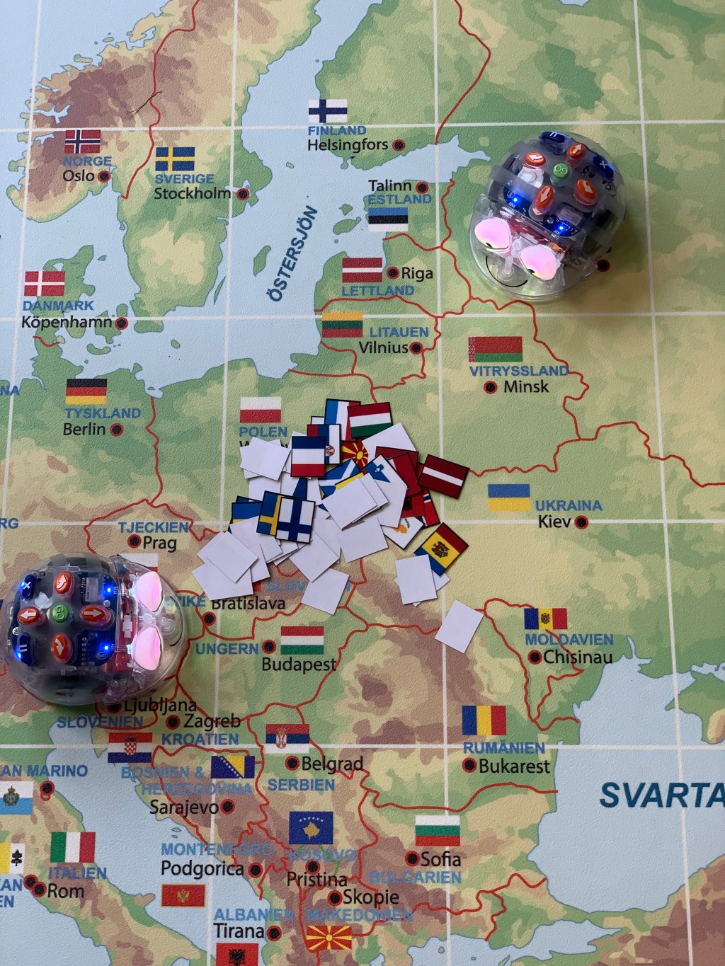 Blue-Bot firar FN-dagen!