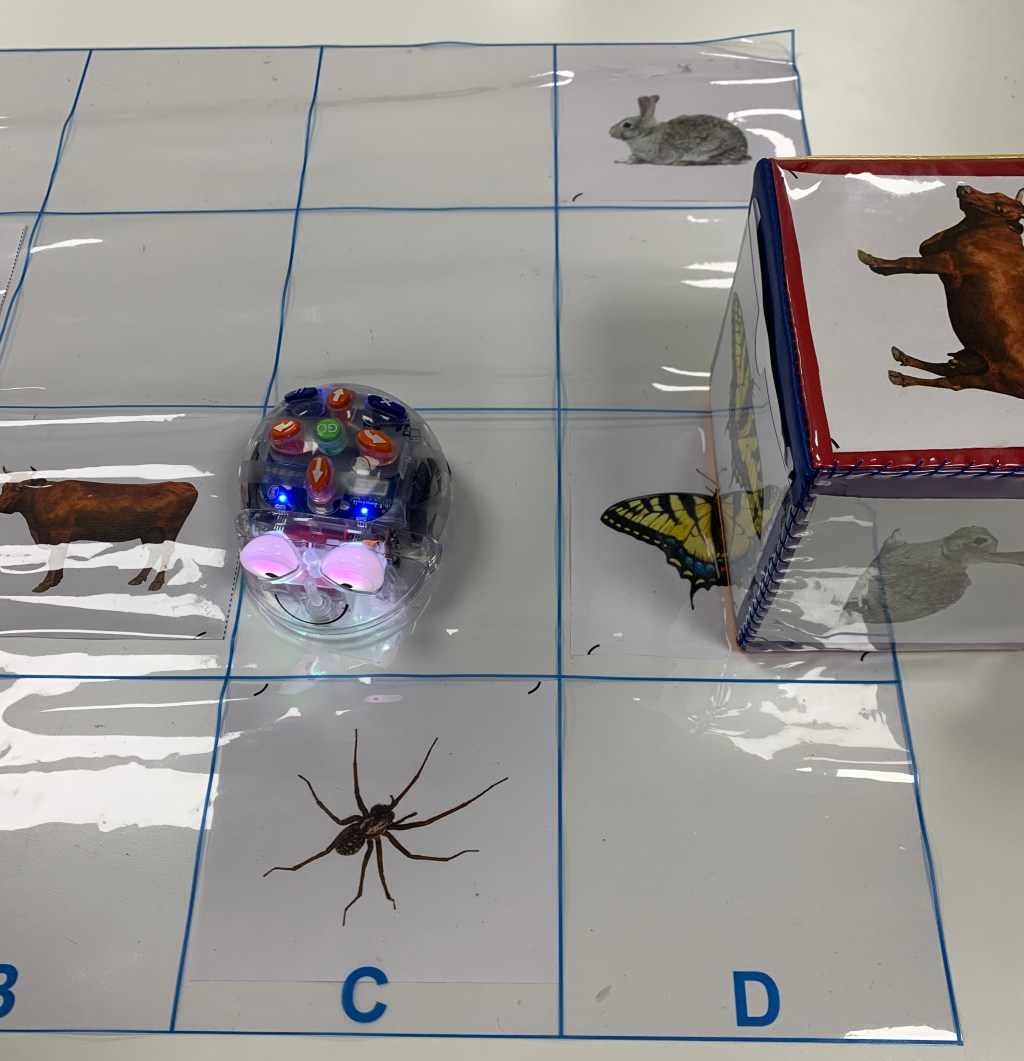 Hitta djuret! Programmering för de&nbsp;yngsta